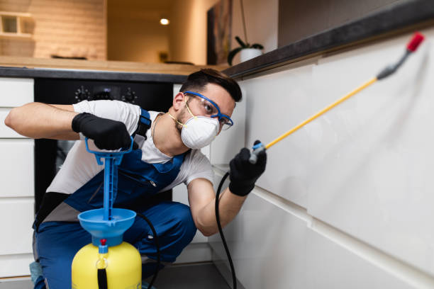 Best Emergency Pest Control  in West Crossett, AR