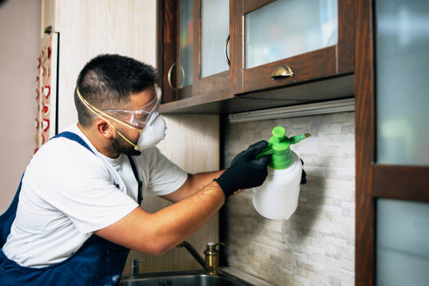 Best Local Pest Control Services  in West Crossett, AR