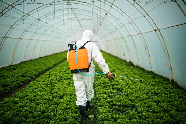 Best Affordable Pest Control Services  in West Crossett, AR