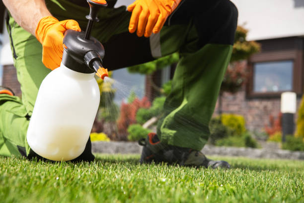Best Flea Control Services  in West Crossett, AR