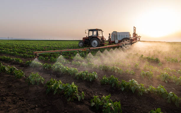 Best Cockroach Control Services  in West Crossett, AR
