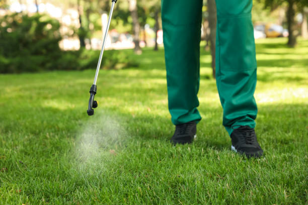 Best Pest Inspection Near Me  in West Crossett, AR
