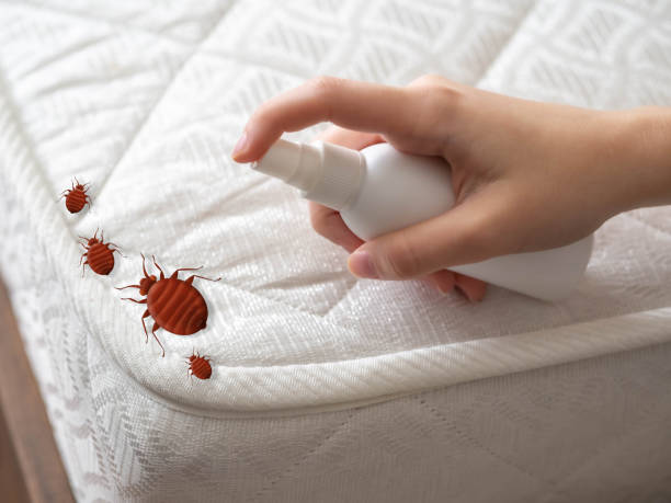 Best Best Pest Control Companies  in West Crossett, AR