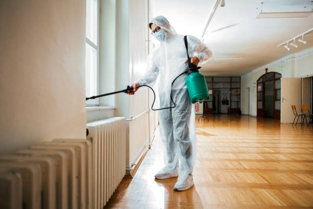 Best Affordable Pest Control Services  in West Crossett, AR